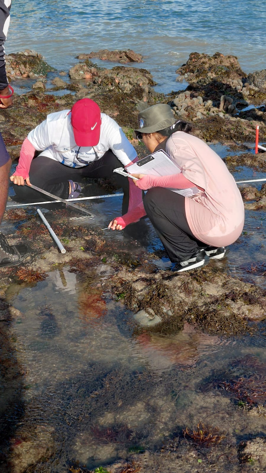 GFRF - Coral Health & Resilience at MNP 35